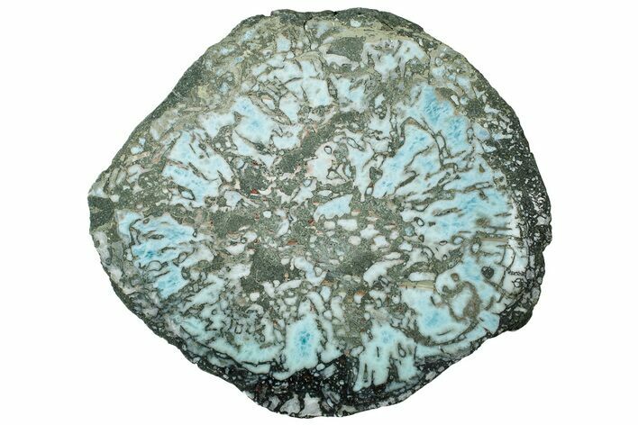 Slab of Larimar Replaced Wood Limb Cast #315030